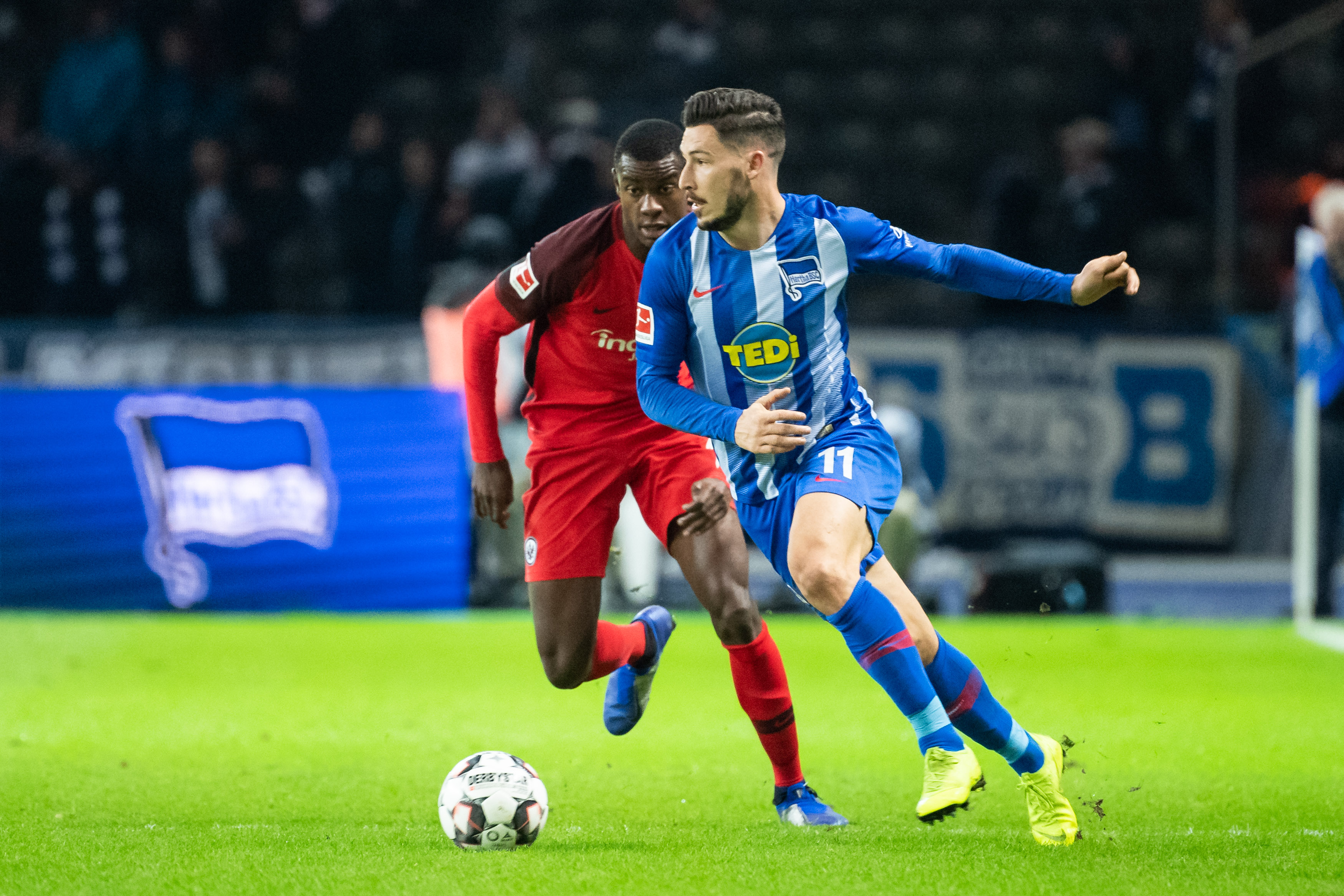 尔夫提供参 尔夫提供参