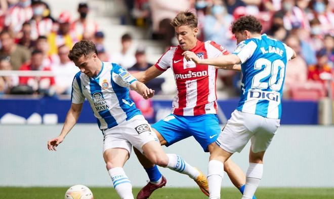 意并在评分 意并在评分